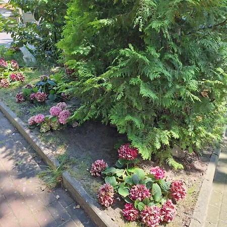 Letniskowy 3 Os Pod Bukiem Деревянный коттедж Мендзыздрое