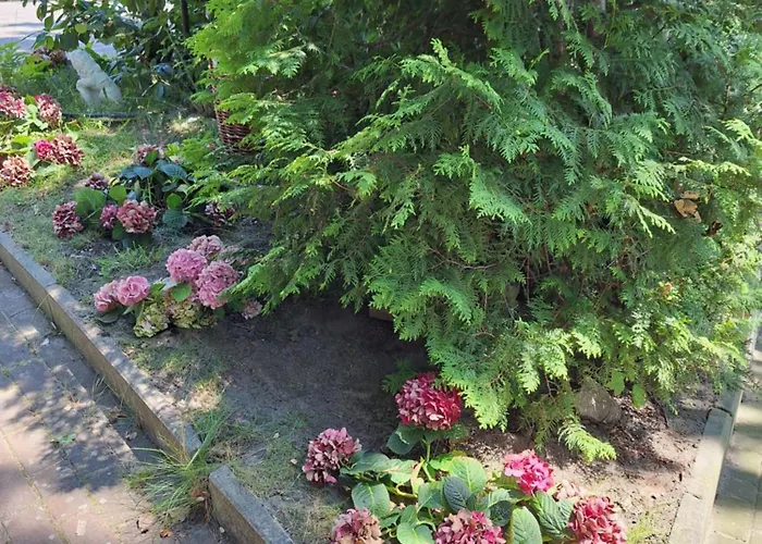 Letniskowy 3 Os Pod Bukiem Деревянный коттедж Мендзыздрое